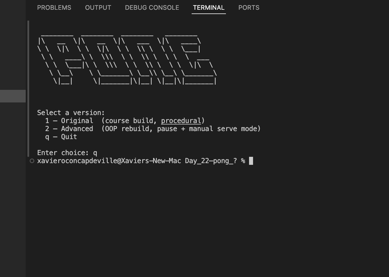Pong Game screenshot 1