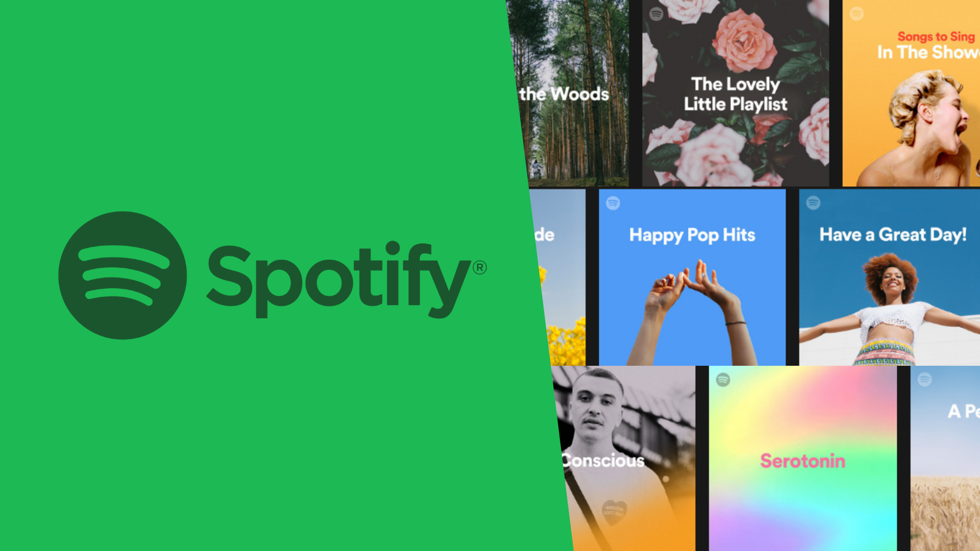 Spotify Musical Time Machine cover image
