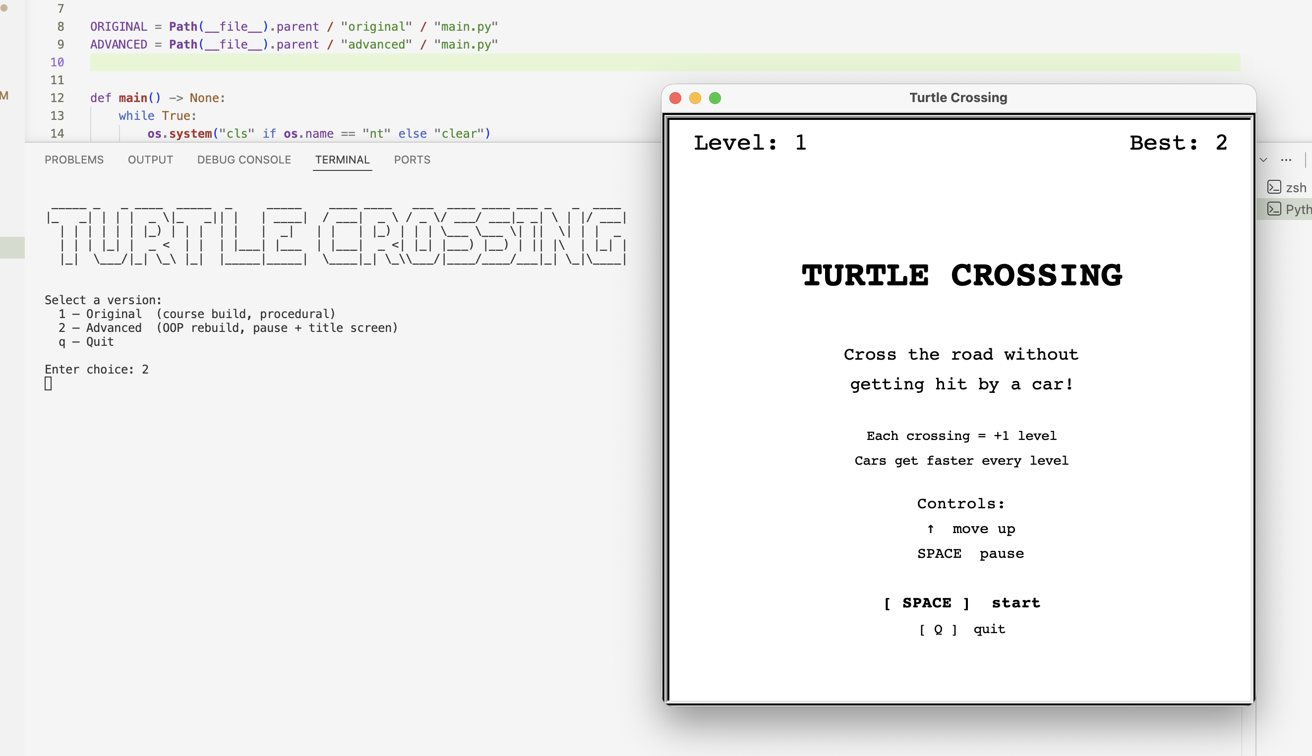 Turtle Crossing screenshot 2