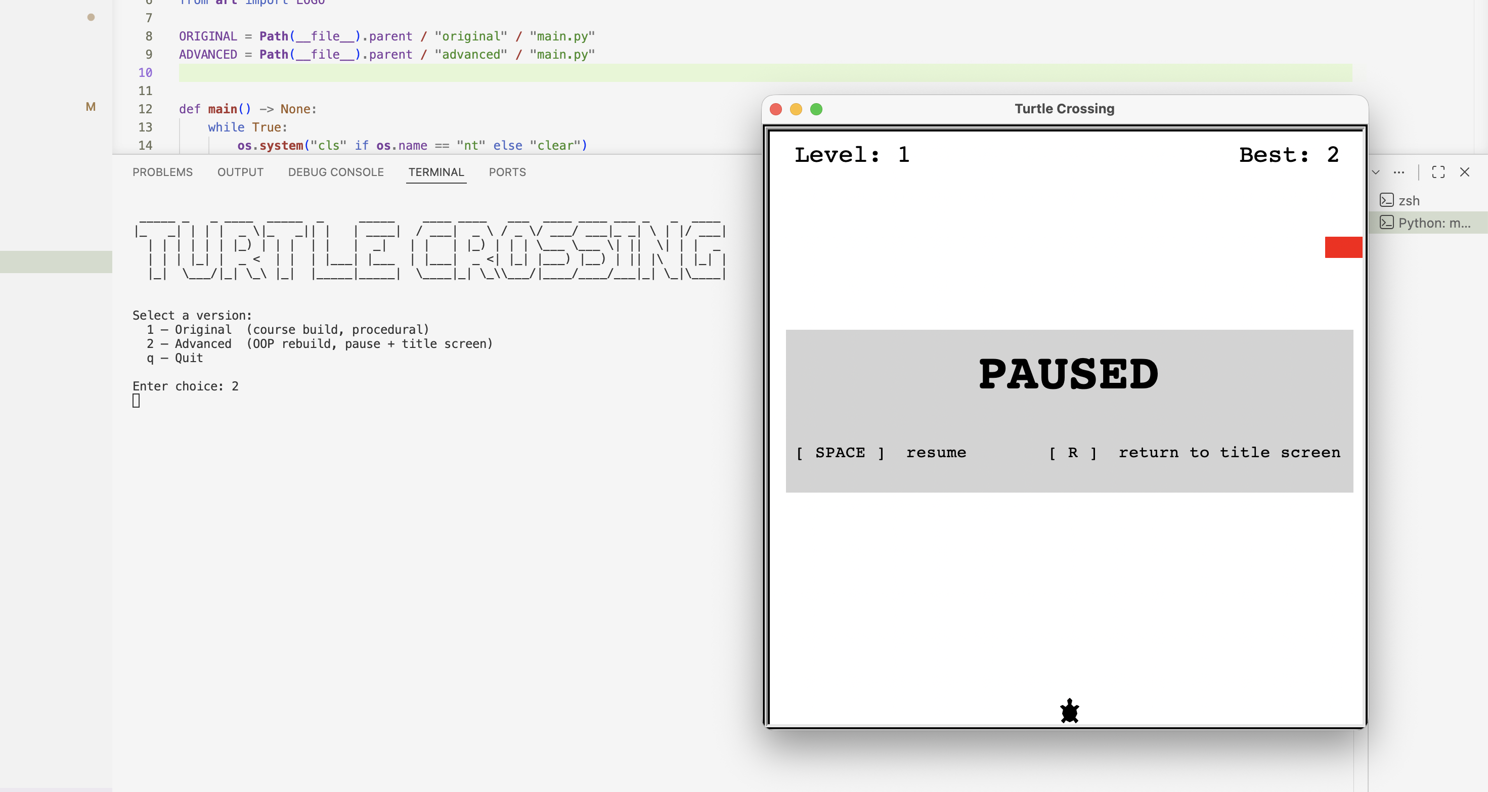 Turtle Crossing screenshot 3